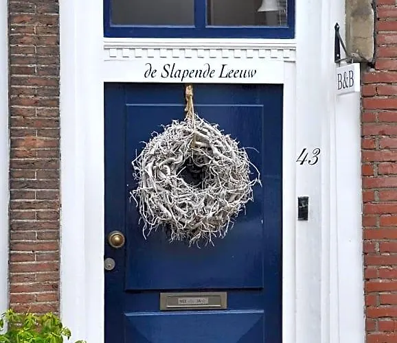 De Slapende Leeuw